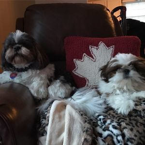 Meet your Posher, Kris